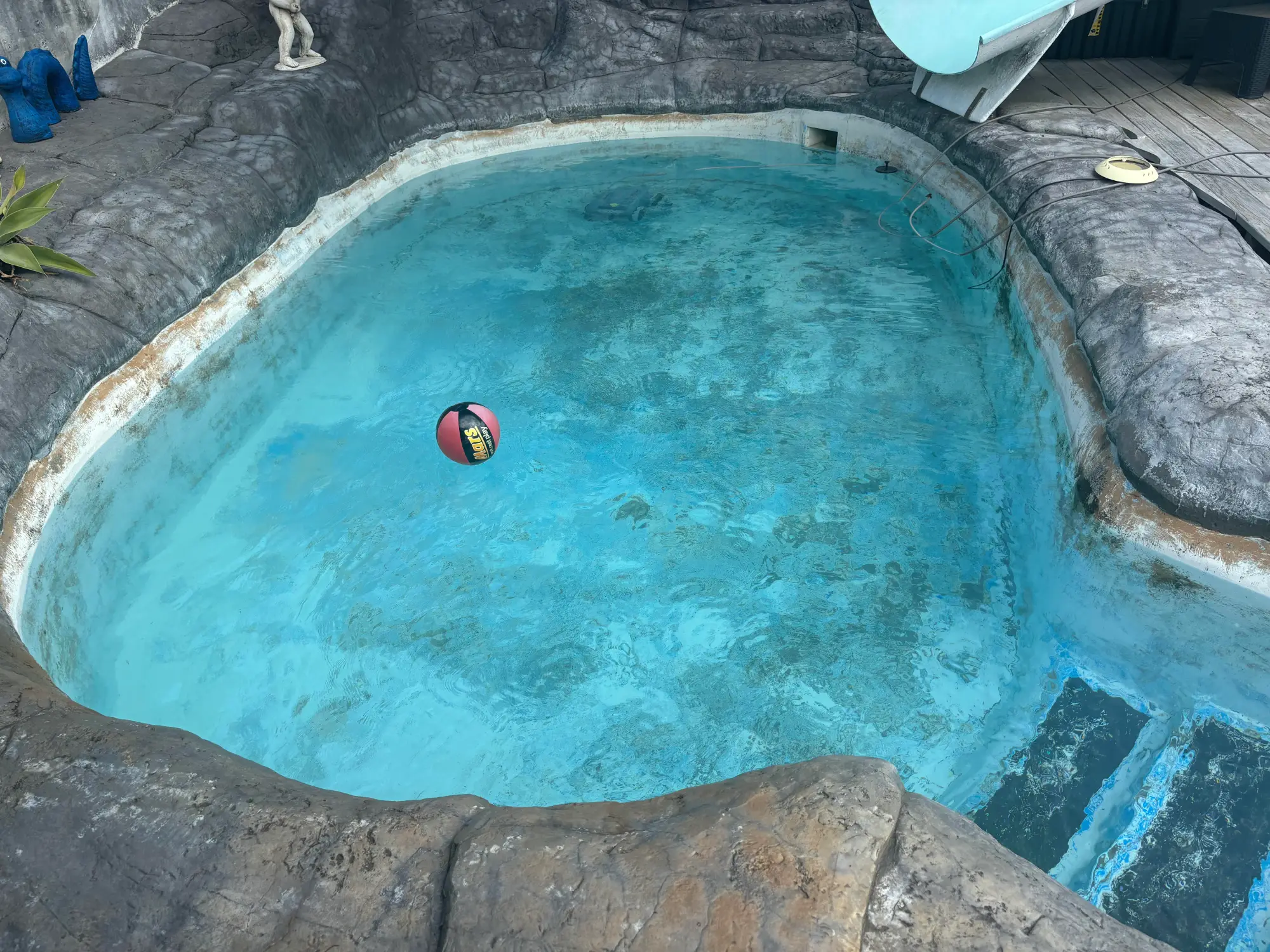 New Lease of Life - Wiri before